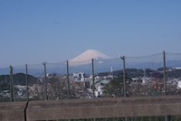 富士山も祝福してくれています